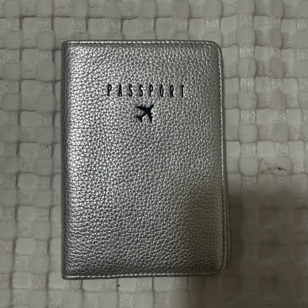 Aimee Kestenberg Leather Silver Passport Holder